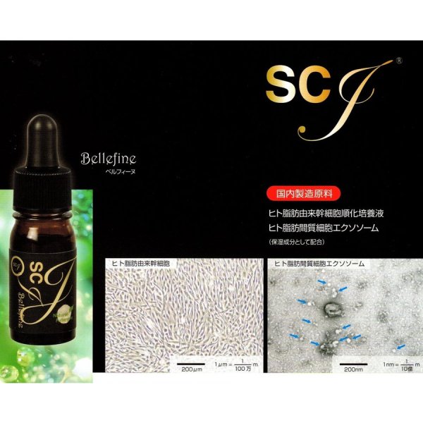画像6: SCJ ベルフィーヌ (5mL)　高濃度美容原液　ヒト脂肪間質細胞順化培養液配合5ｍL (6)