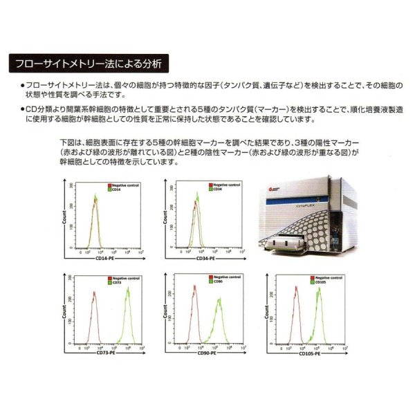 画像8: SCJ ベルフィーヌ (5mL)　高濃度美容原液　ヒト脂肪間質細胞順化培養液配合5ｍL (8)