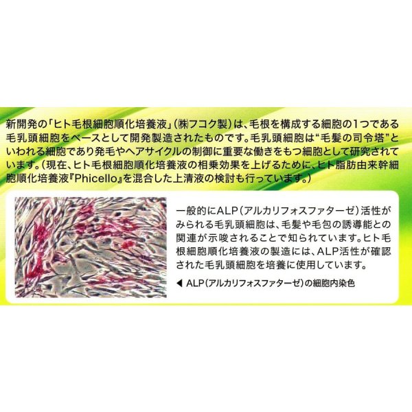 画像5: アシーズSC M&L(Man & Lady)頭皮ローション　ヒト毛根細胞順化培養液配合76ｍL (5)
