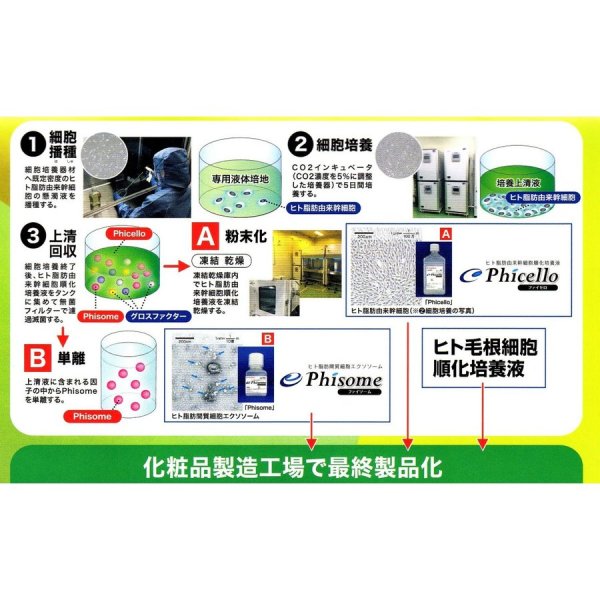 画像7: アシーズSC M&L(Man & Lady)頭皮ローション　ヒト毛根細胞順化培養液配合76ｍL (7)