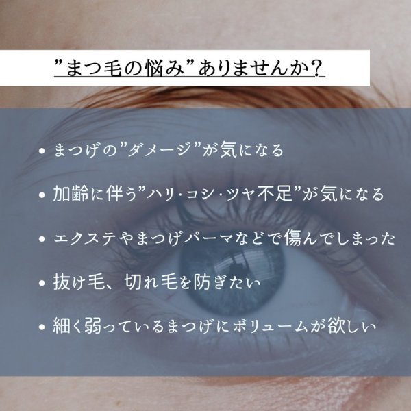 画像3: シェルマアイラッシュファクト（まつ毛美容液）ヒト脂肪間質細胞順化培養液配合8ｍL (3)